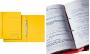 dLEITZ Chemise à spirale, format A4, carton ColorSpan, jaune