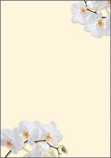 Sigel Papier à lettre A4 motif orchidée white Orchid
