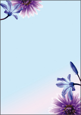 Sigel Papier à lettre A4 motifs fleurs Bleue Emotion