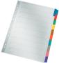 LEITZ Intercalaires en carton de mylar, en blanc, A4, gris